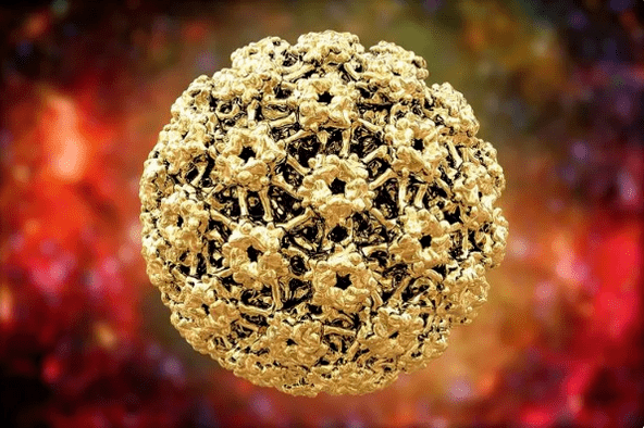 Virus du papillome humain