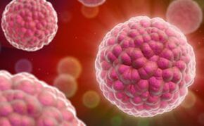 Symptômes et traitement du virus du papillome humain